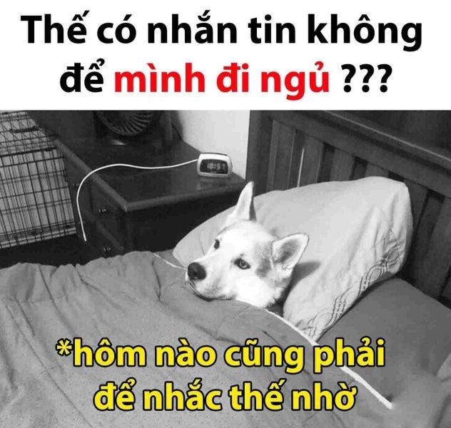 meme đi ngủ 20