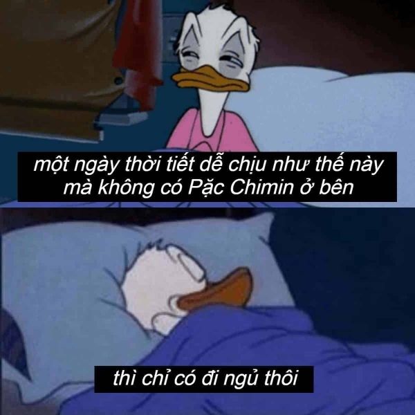 meme đi ngủ 21