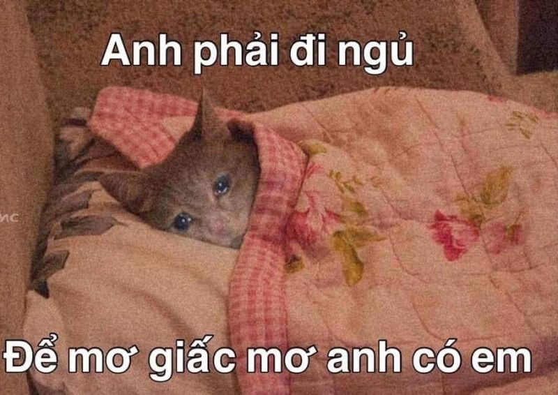 meme đi ngủ 26