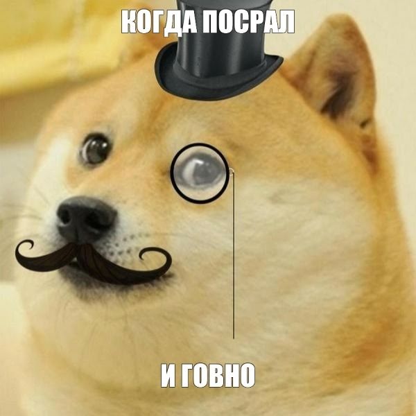 meme dog 1