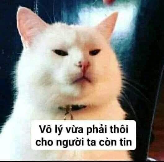 meme dỗi 42