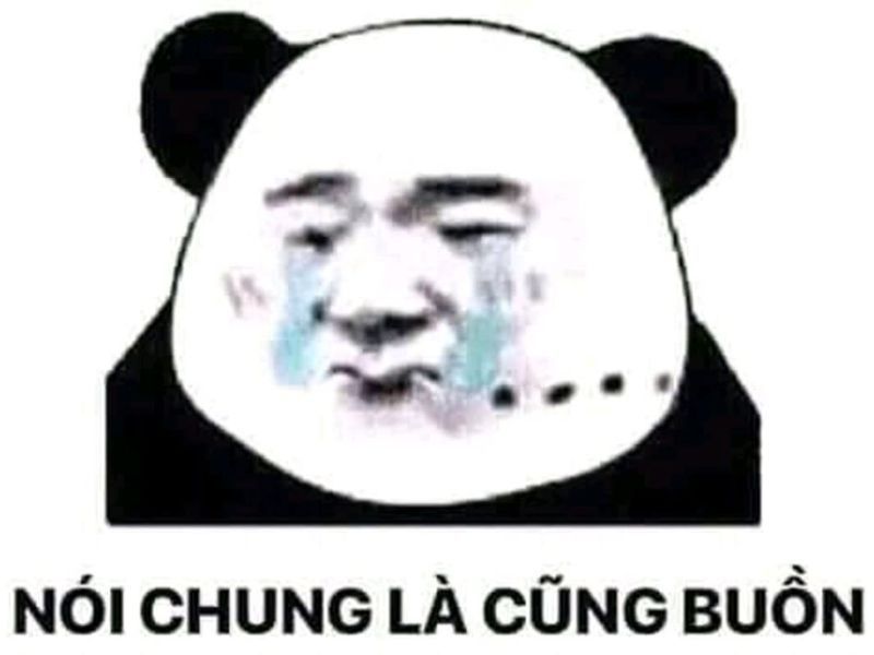 ảnh meme hài hước 48