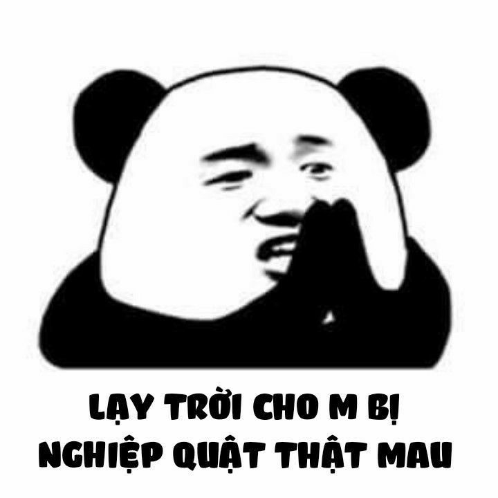 meme gấu trúc 8