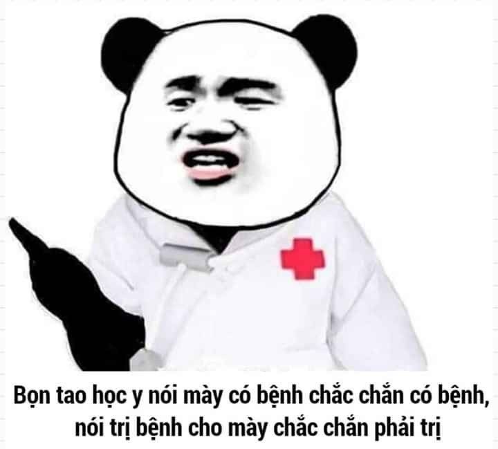 meme gấu trúc 10