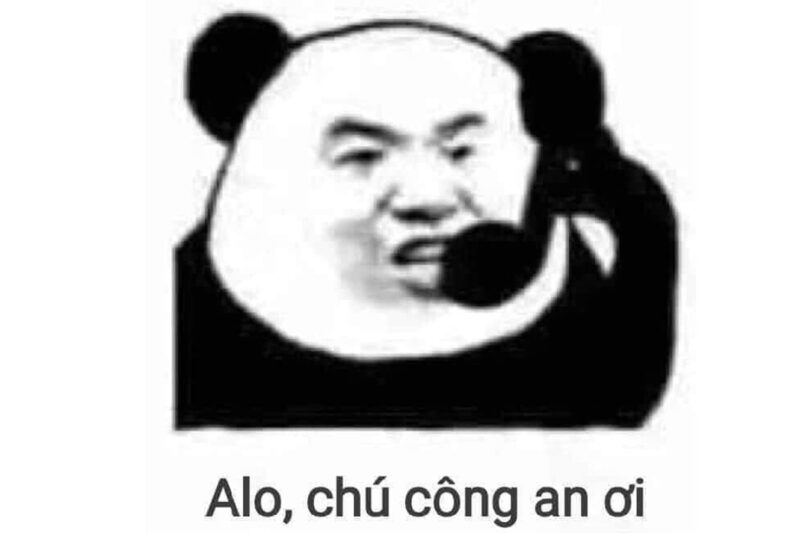 meme gấu trúc 12