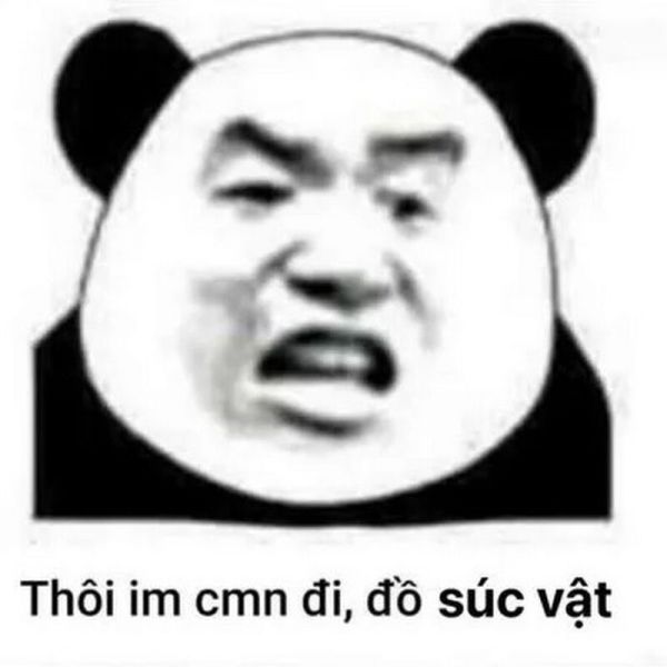 meme gấu trúc 19