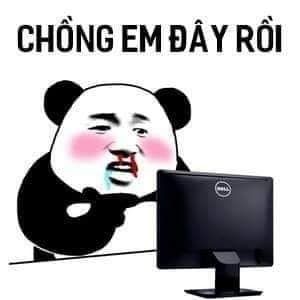 meme gấu trúc 20