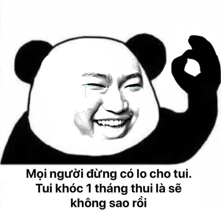 meme gấu trúc 21