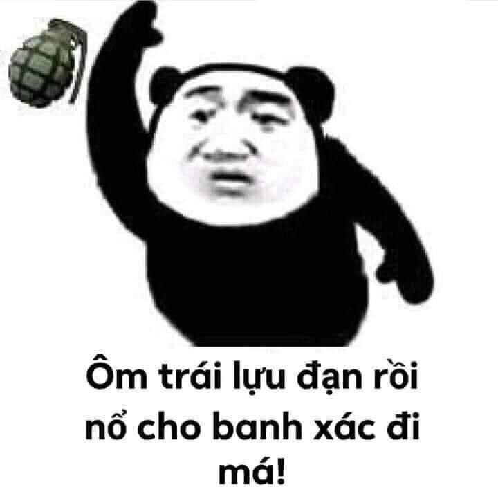 meme gấu trúc 24