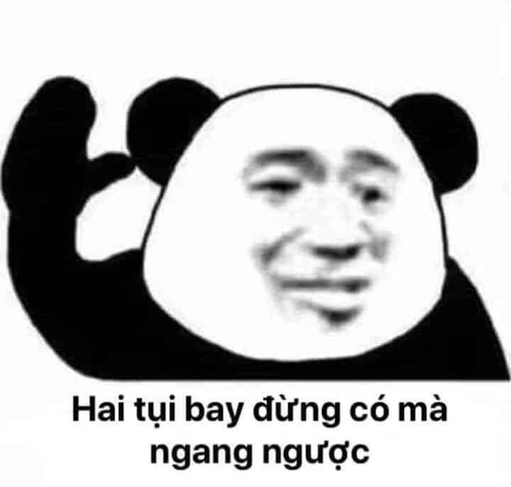 meme gấu trúc 26