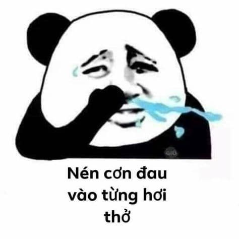 meme gấu trúc 35