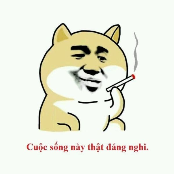 meme khinh bỉ 15