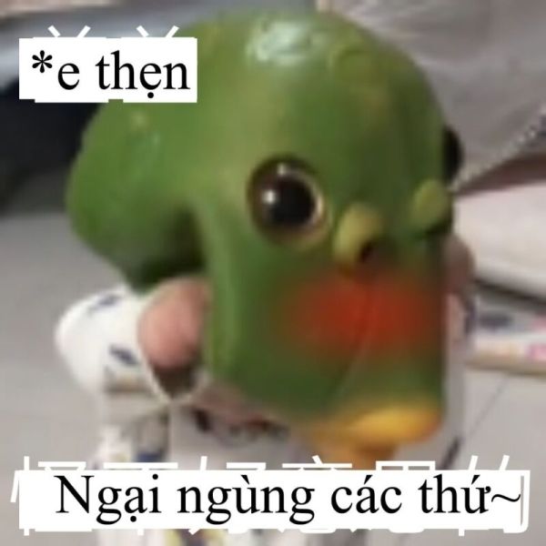 meme ngại 47