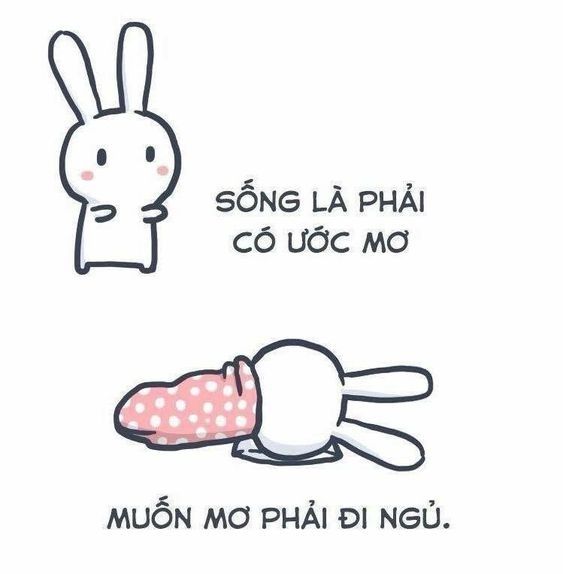 meme ngủ ngon 6