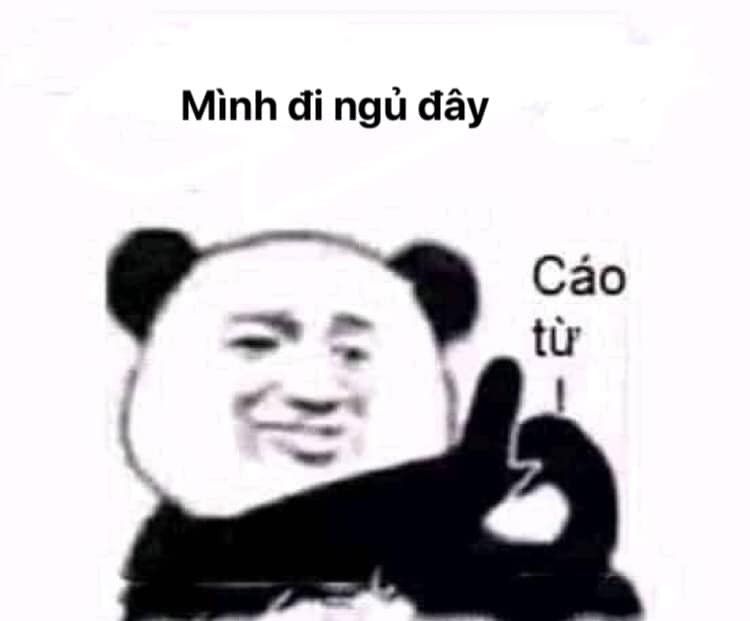 meme ngủ ngon 7