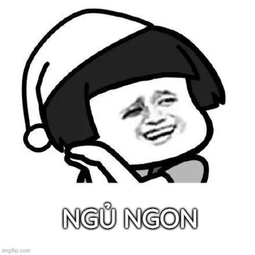 meme ngủ ngon 11