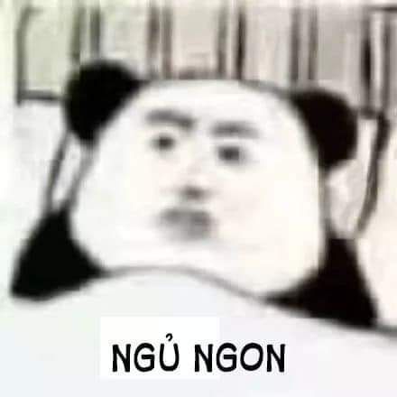 meme ngủ ngon 26