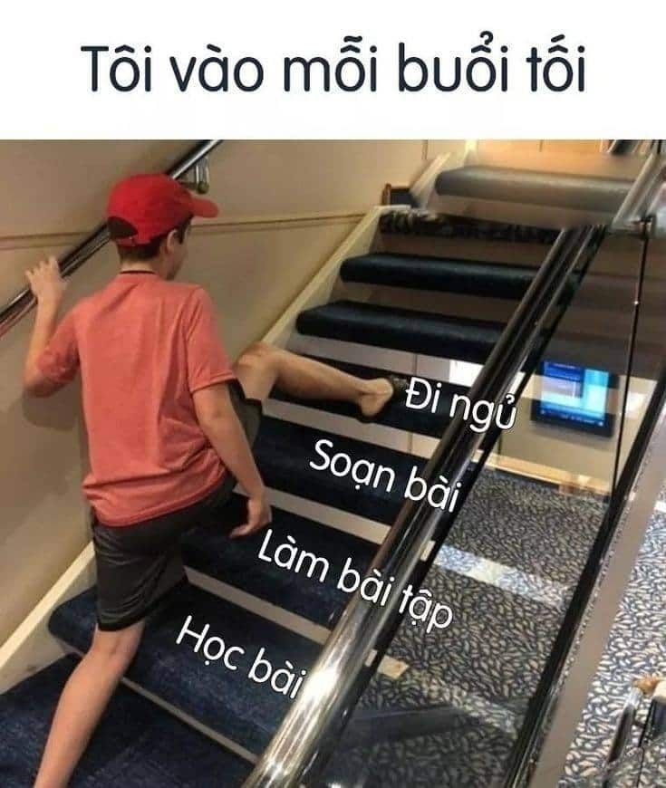 meme đi ngủ 36