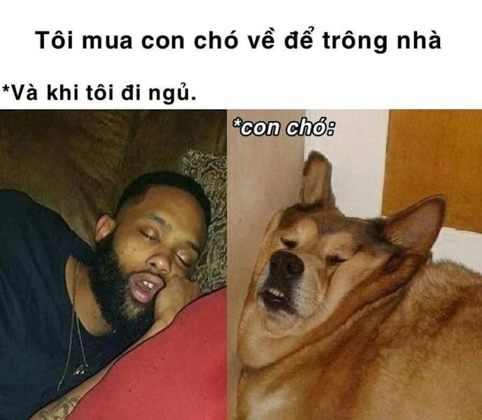 meme đi ngủ 40