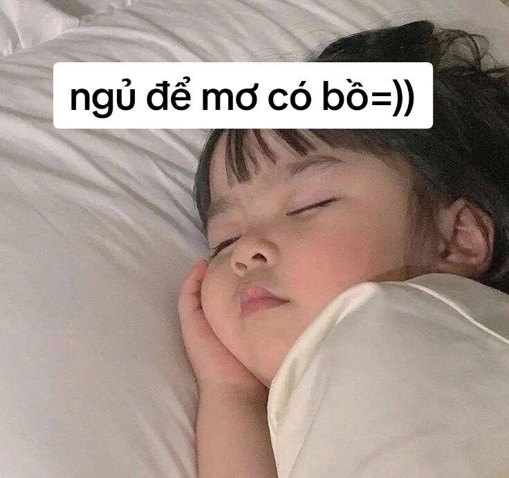 meme đi ngủ 43