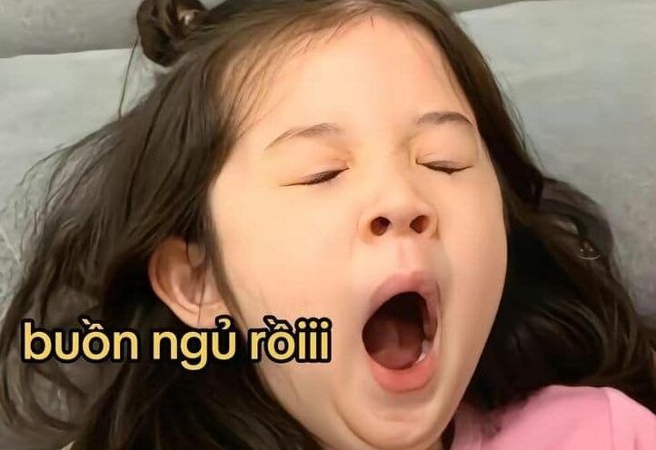 meme đi ngủ 48