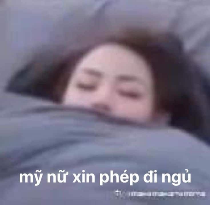 meme đi ngủ 50