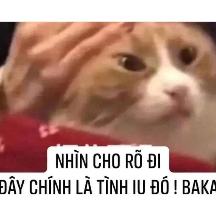 meme tình yêu 8