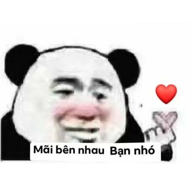 meme tình yêu 12