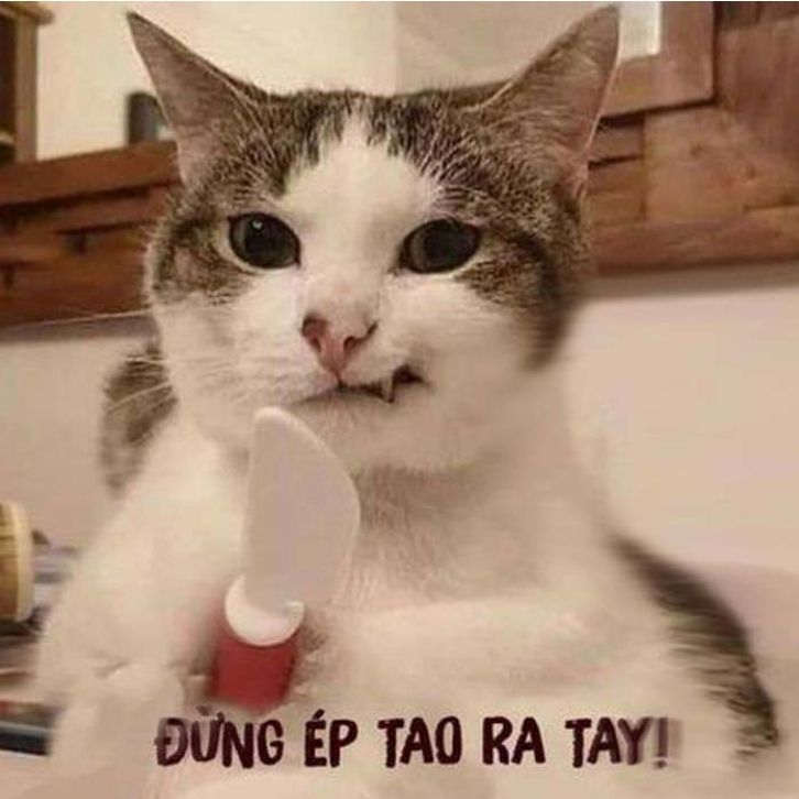 meme tức giận 4