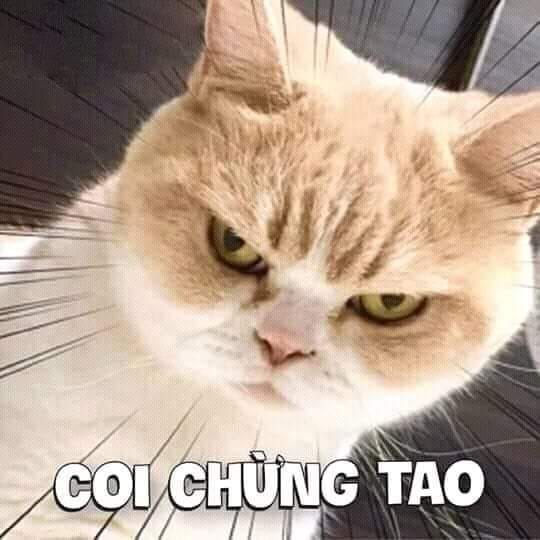 meme tức giận 15