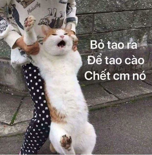 meme tức giận 18