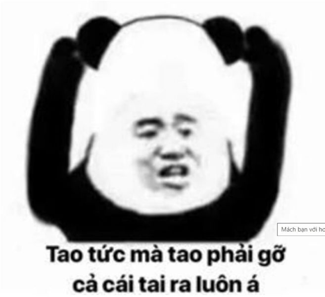 meme tức giận 31