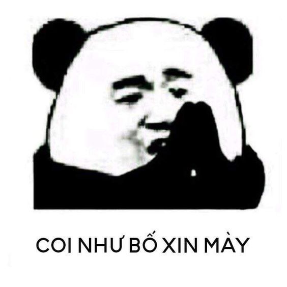 meme xin lỗi 4