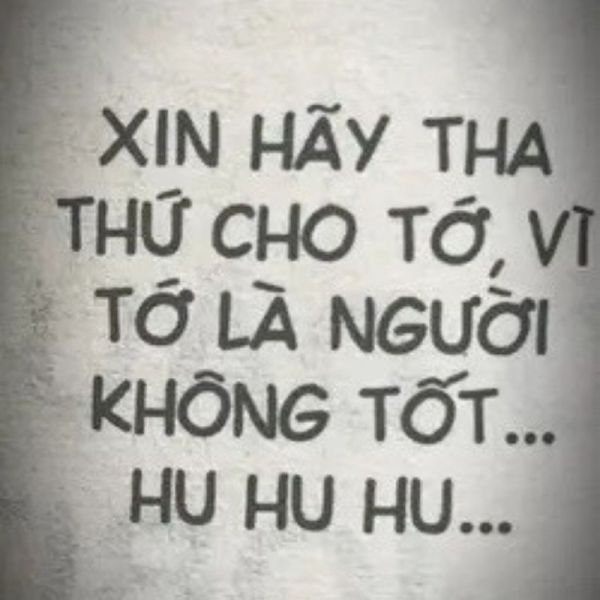 meme xin lỗi 8