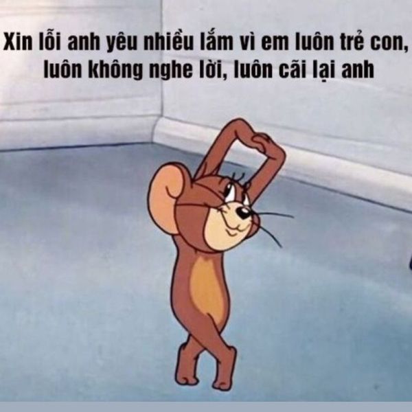 meme xin lỗi 9