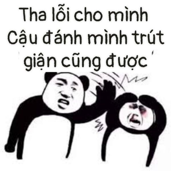 meme xin lỗi 12