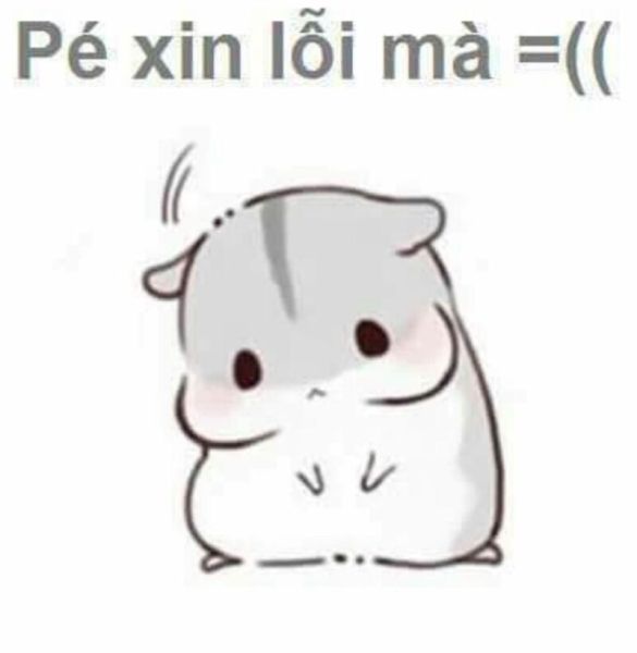 meme xin lỗi 19