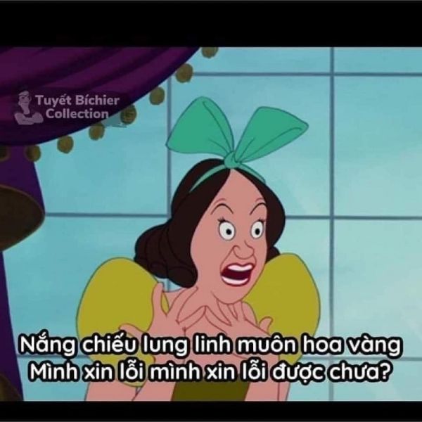 meme xin lỗi 24