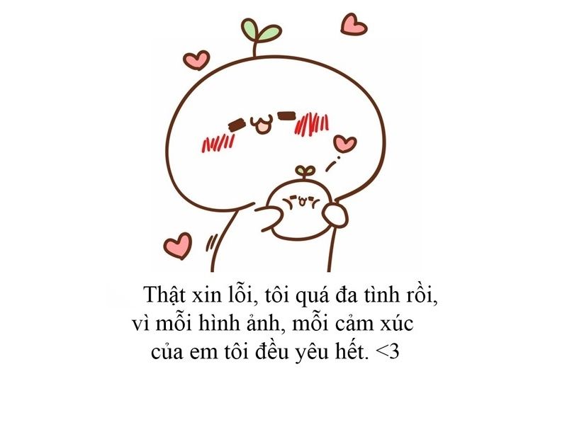 meme xin lỗi 27