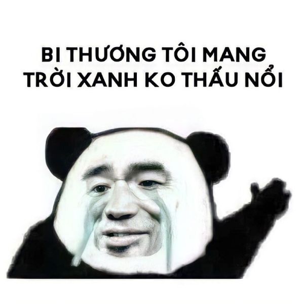 meme xin lỗi 30