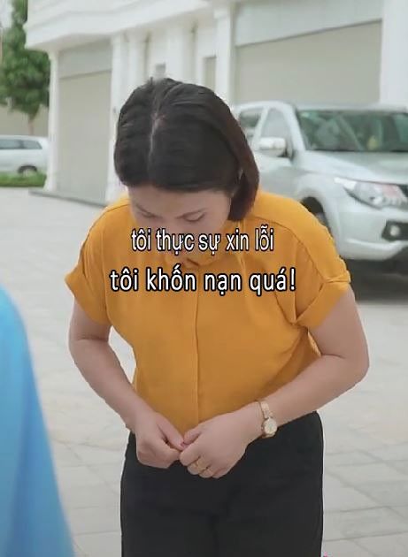 meme xin lỗi 31