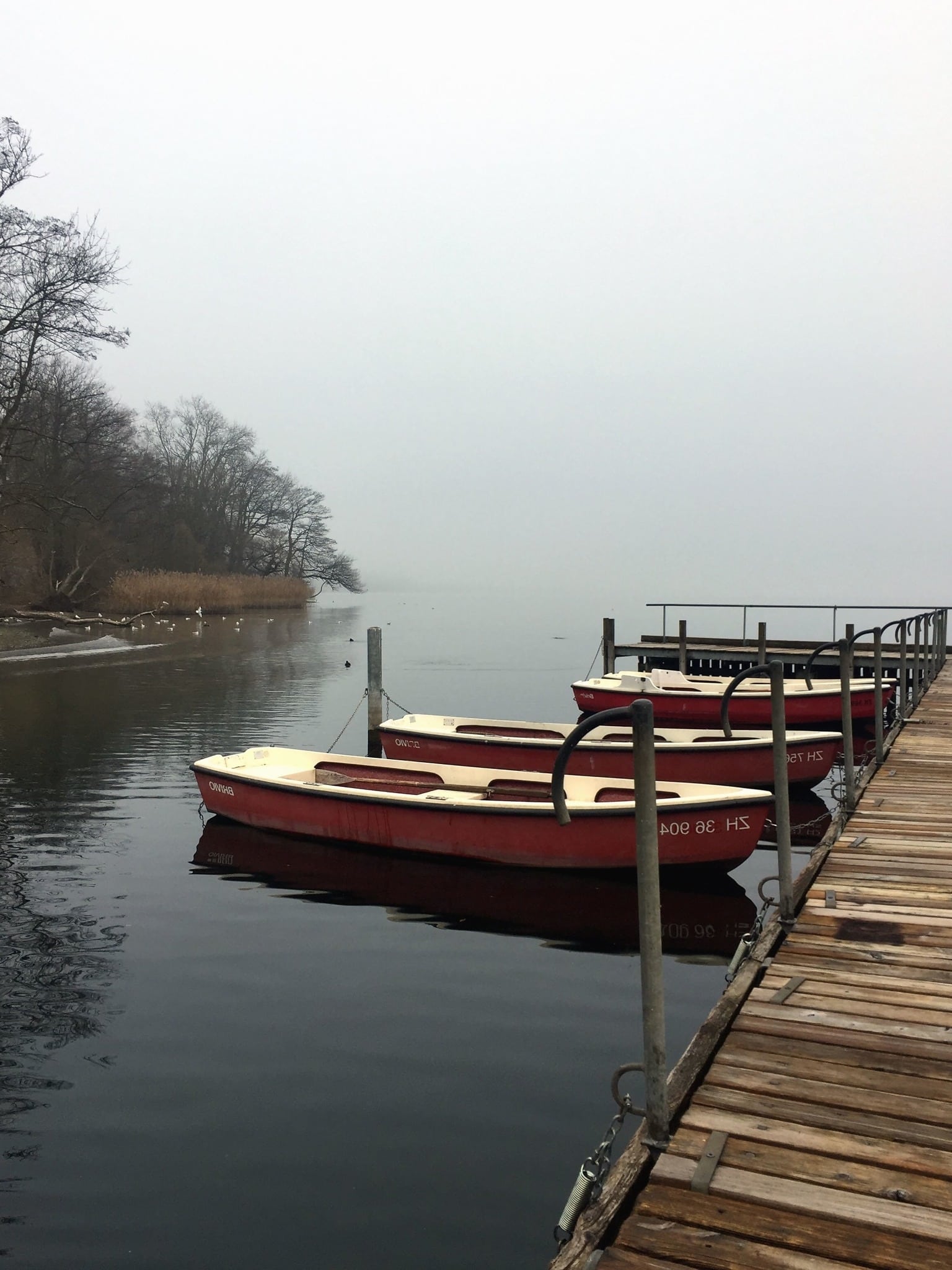 Phong cảnh bến thuyền ven hồ trong sương sớm 2