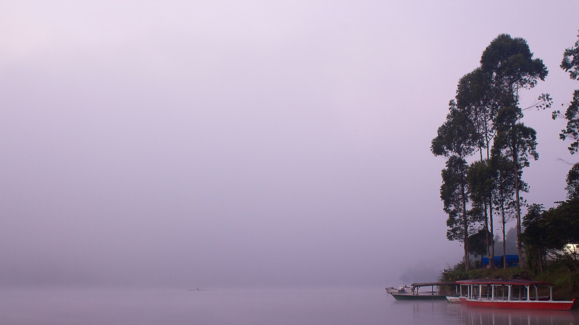 Phong cảnh bến thuyền ven hồ trong sương sớm 14