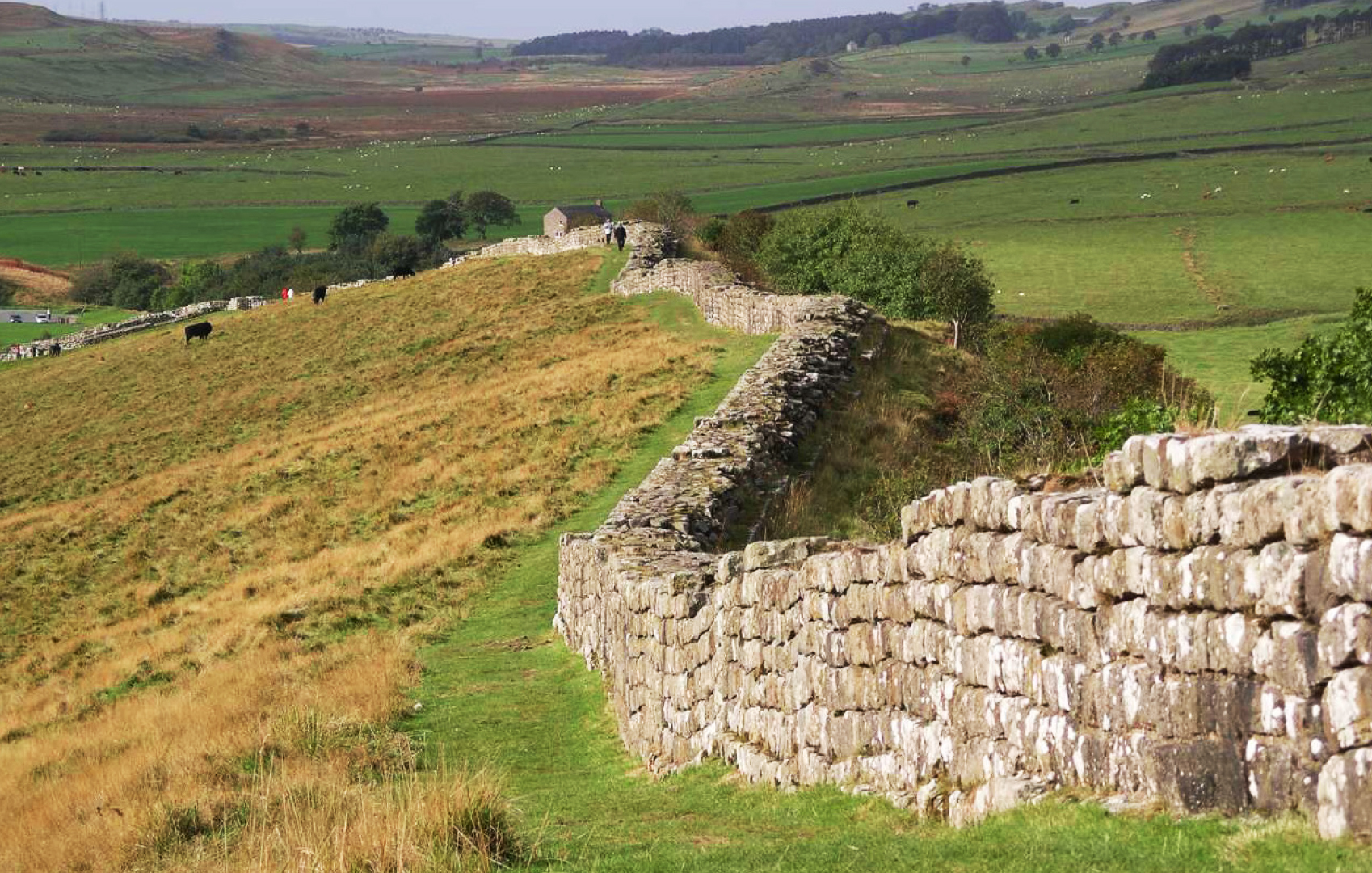 Phong cảnh bức tường cổ kính với lịch sử lâu đời 42