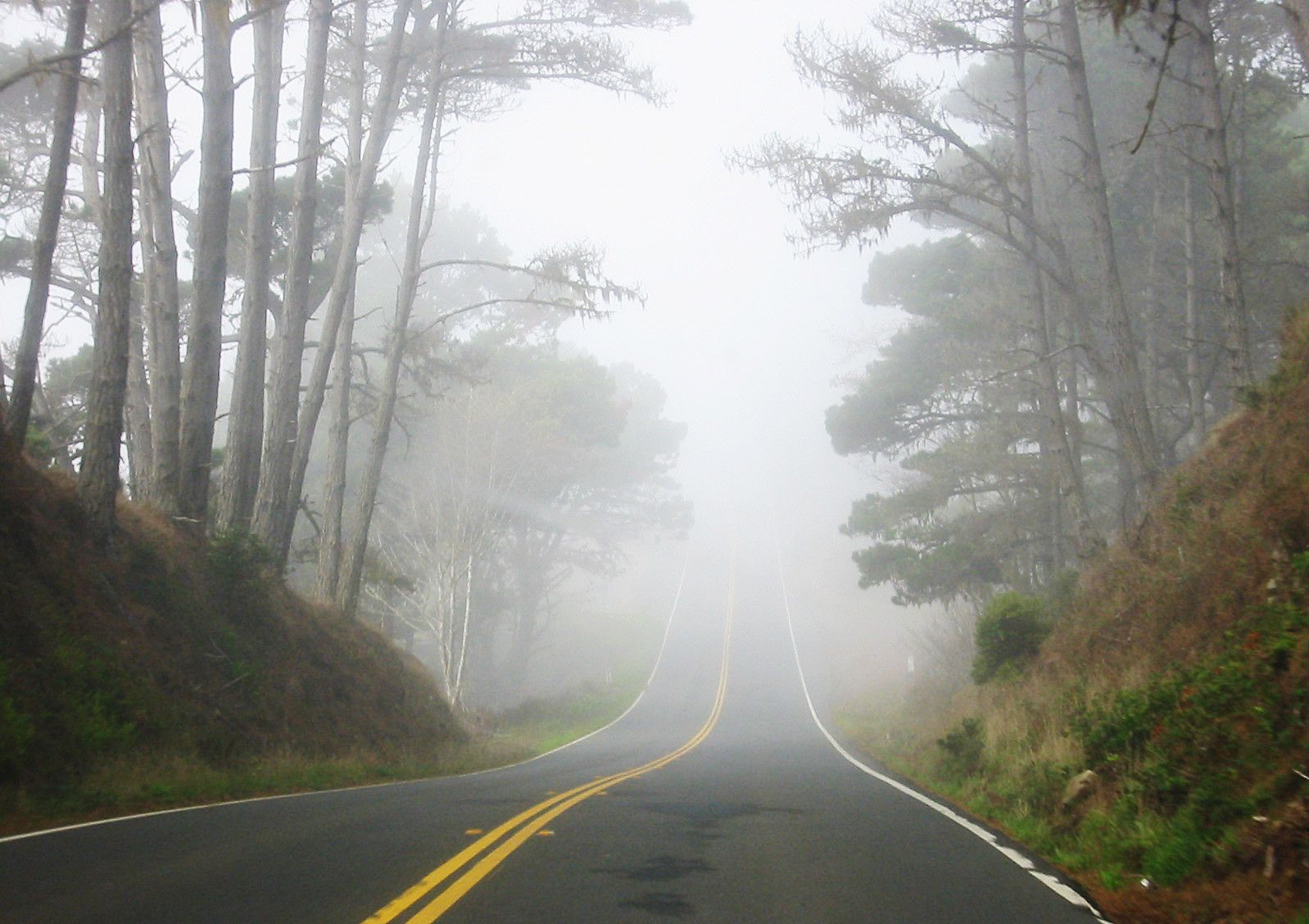 Phong cảnh con đường dẫn vào thung lũng sương mù 3