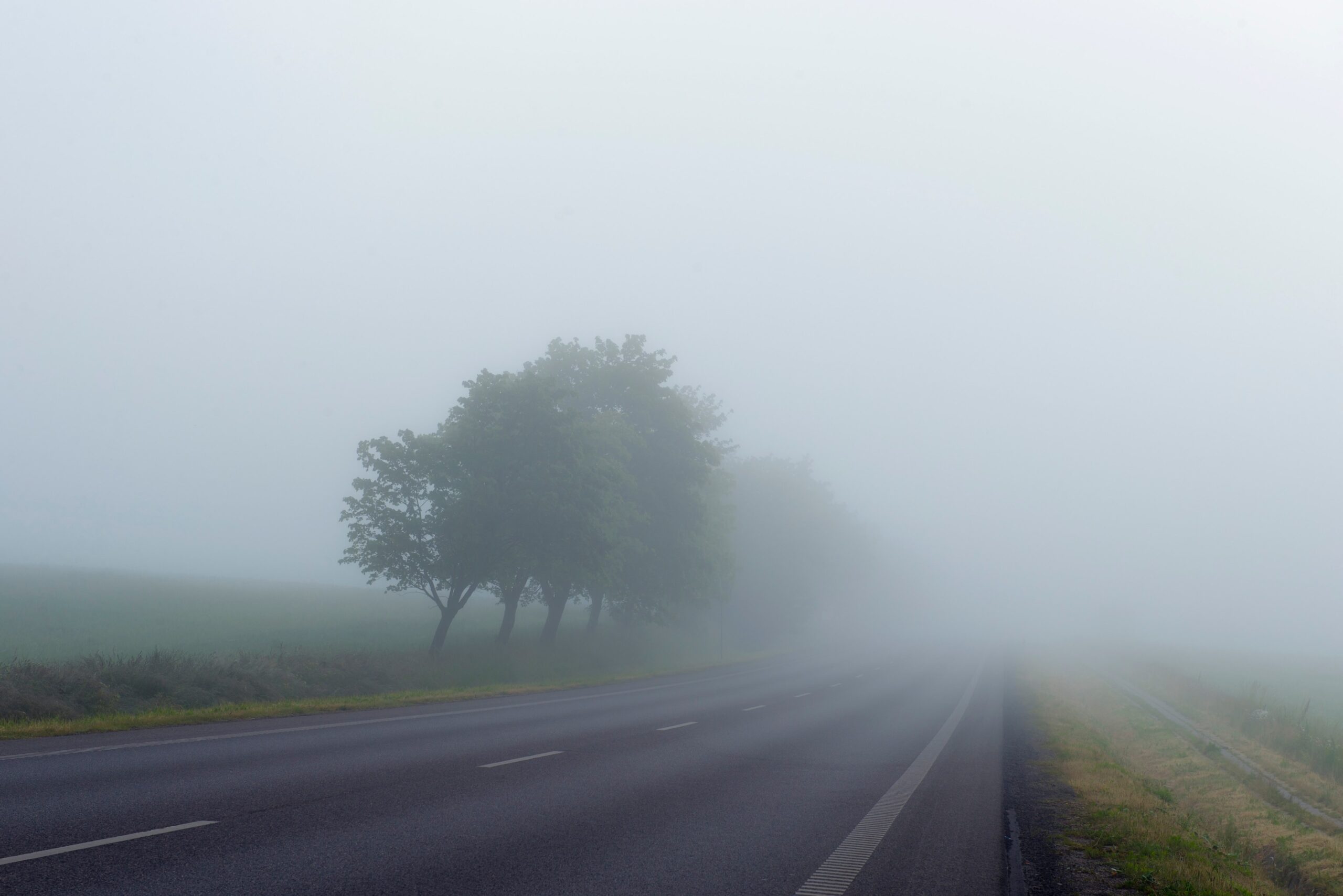 Phong cảnh con đường dẫn vào thung lũng sương mù 19