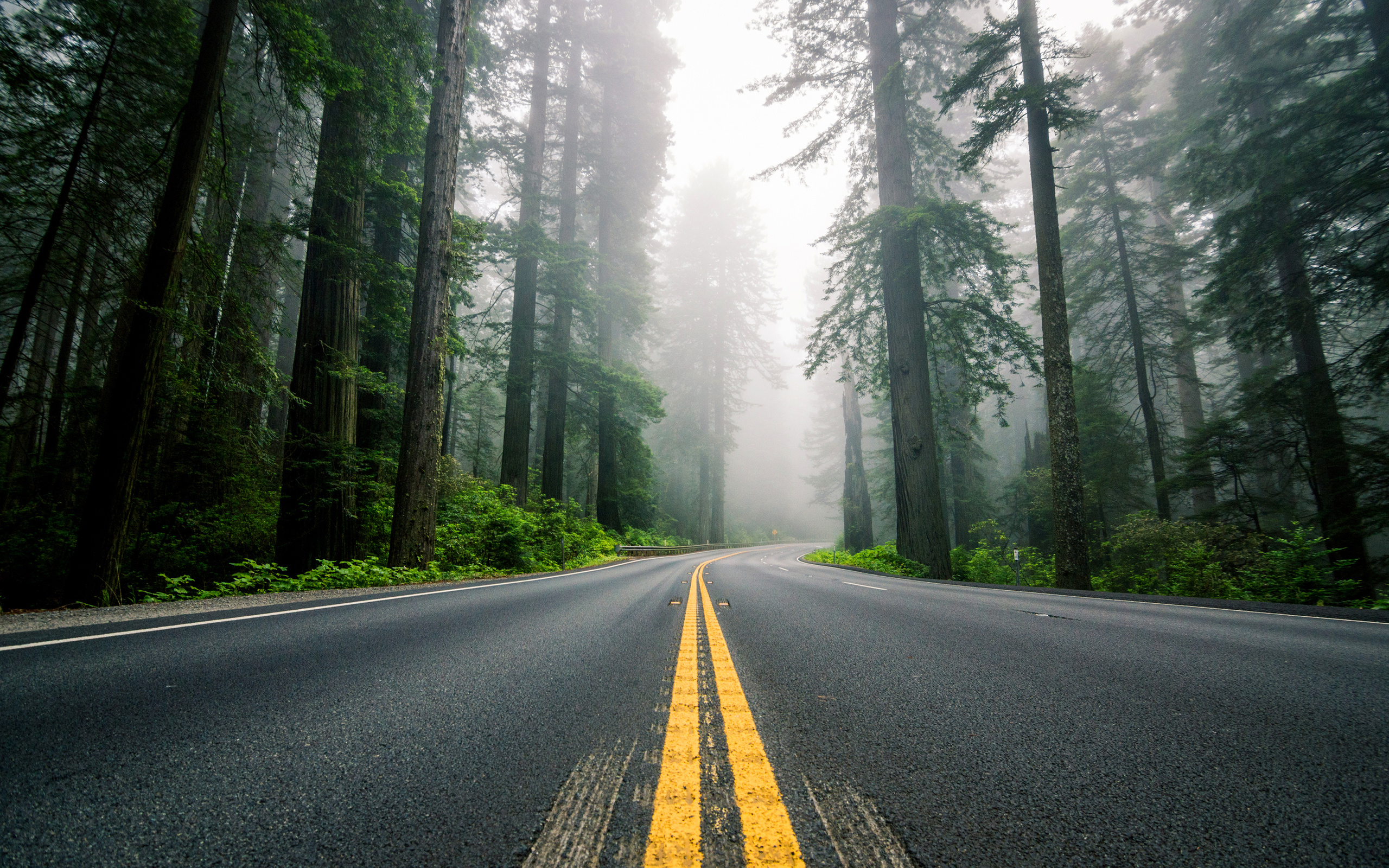 Phong cảnh con đường dẫn vào thung lũng sương mù 22