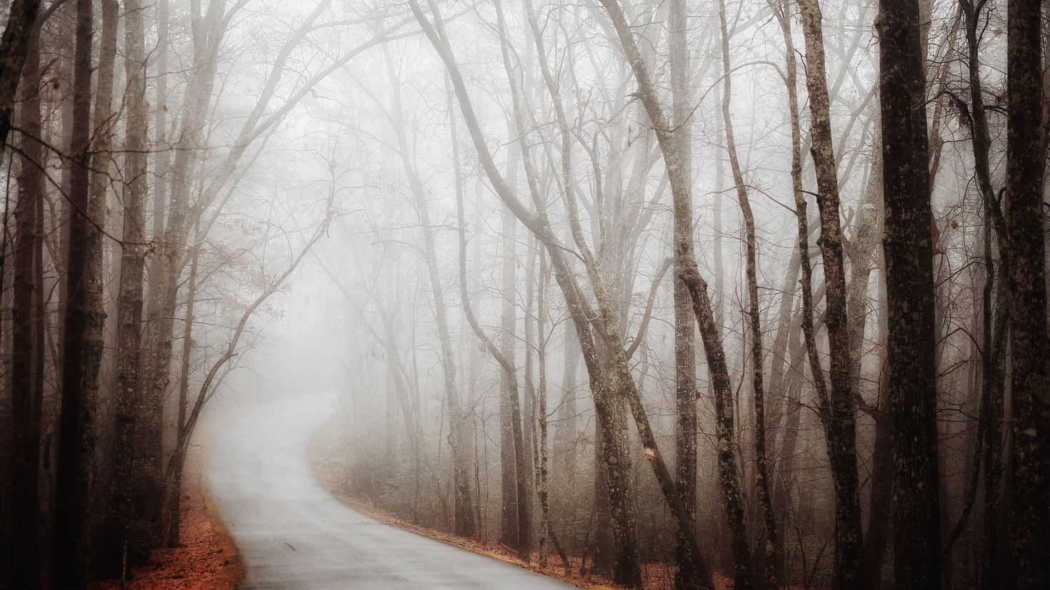 Phong cảnh con đường dẫn vào thung lũng sương mù 24