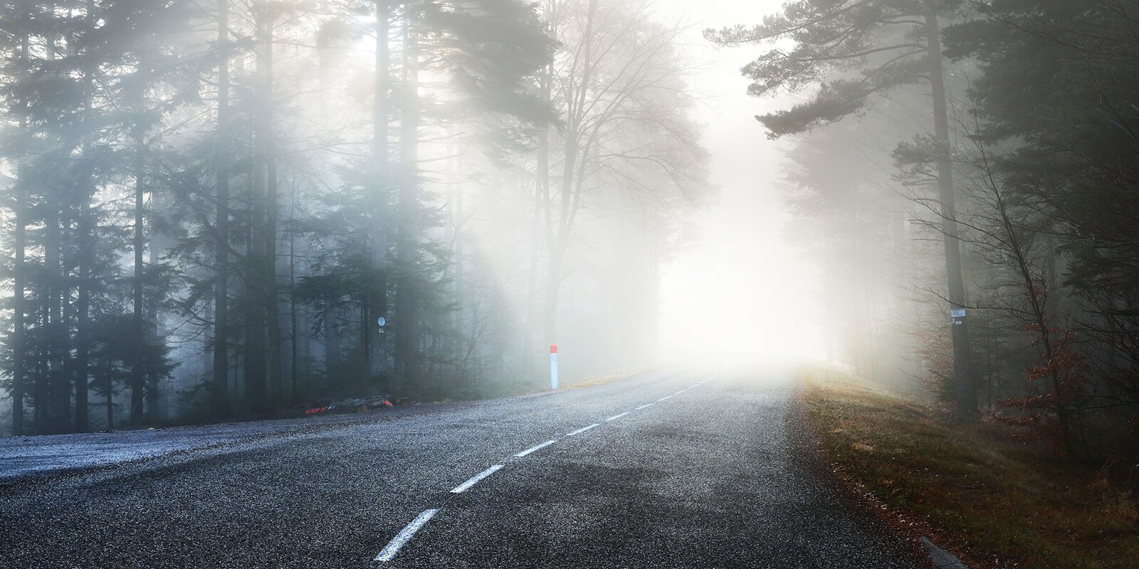 Phong cảnh con đường dẫn vào thung lũng sương mù 29