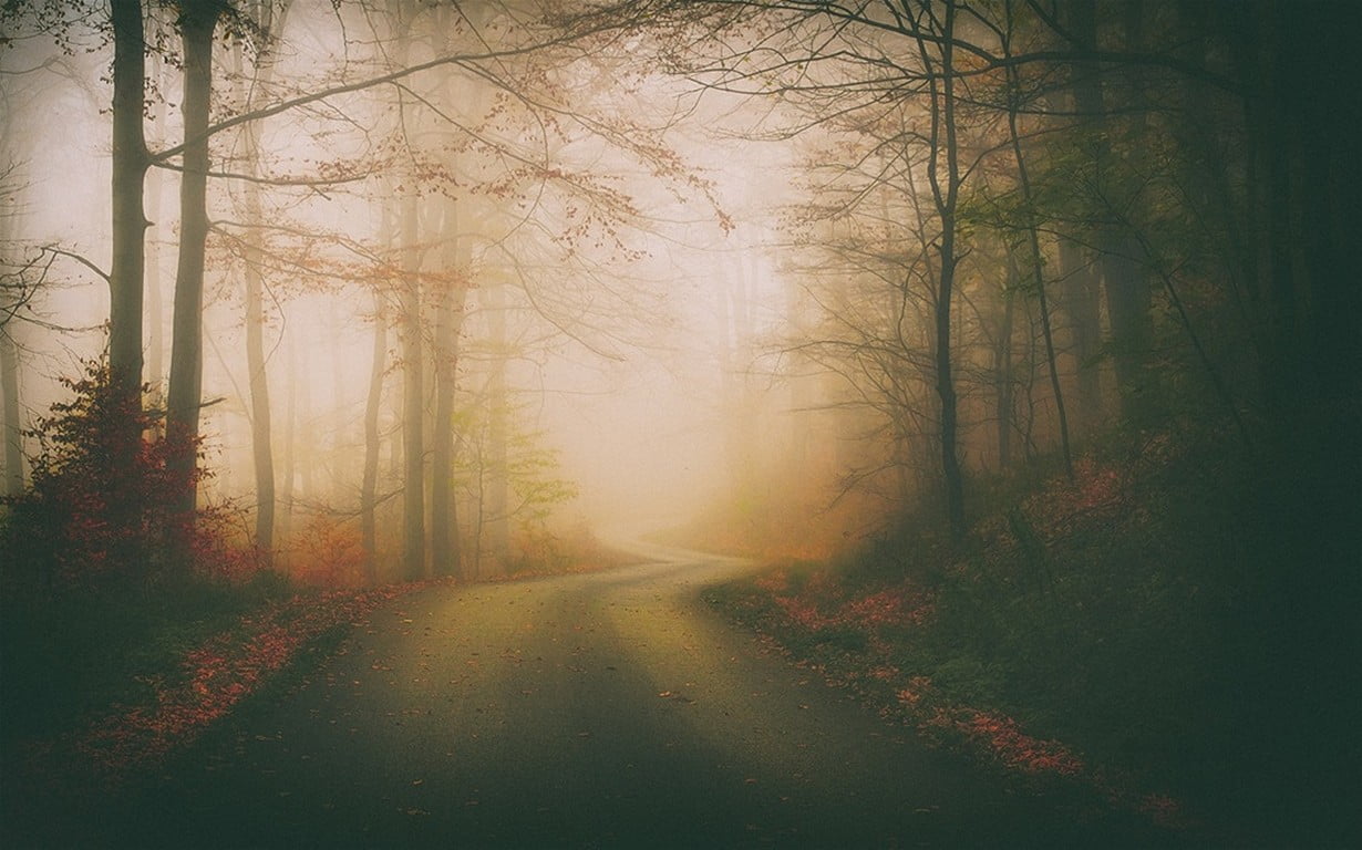 Phong cảnh con đường dẫn vào thung lũng sương mù 34